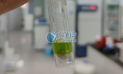 行星式球磨機研磨番茄葉片實驗|浙江大學農學院用于后續(xù)提RNA操作